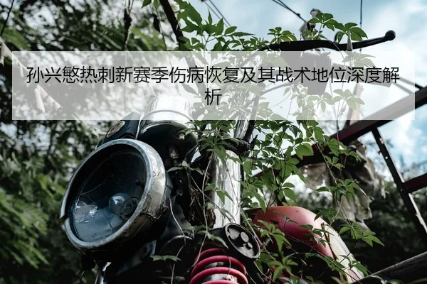 孙兴慜热刺新赛季伤病恢复及其战术地位深度解析